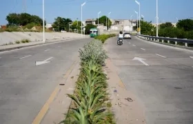 Imagen del corredor vial.