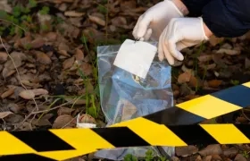 Imagen de referencia.