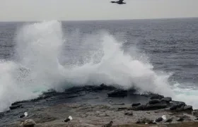 Imagen de referencia