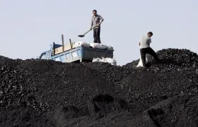 Imagen de referencia.