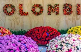 Las flores colombianas más apetecidas en los mercados internacionales son las rosas, claveles, pompones, entre otras.