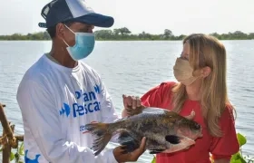 La Gobernadora del Atlántico, Elsa Noguera.