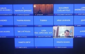 Imagen de la audiencia virtual.