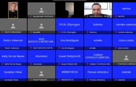 Imagen de la audiencia virtual.