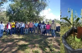 Productores de Campo de la Cruz recibieron 24 toneladas de silo de sorgo y maíz.