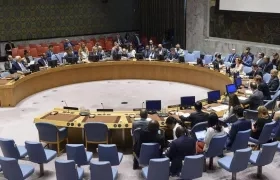 Consejo de Seguridad de las Naciones Unidas.