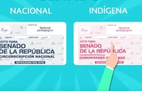 Los electores tendrán dos opciones para votar a Senado.