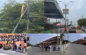 Bomberos controlan las abejas, que frenaron la Gran Parada de la Vía 40.