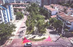 La siembra de árboles también incluye los bulevares.