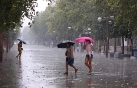 Imagen de referencia.