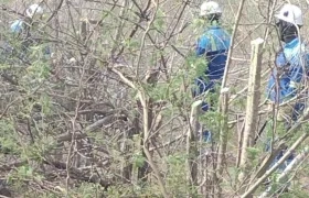 Técnicos de Air-e trabajan en el área rural de Piojó para restaurar el servicio. 