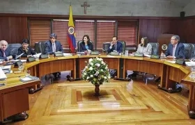 Corte Constitucional.