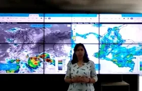 Yolanda González, Directora del Ideam.