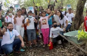 Participantes de la Gran Sembratón para la integración de mangle en la ciénaga de Mallorquín.