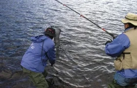 La prohibición de pesca deportiva empezará a regir en un año.