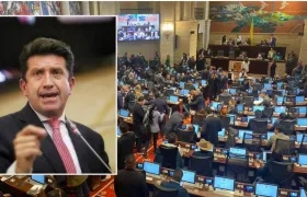 Diego Molano, ministro de Defensa.