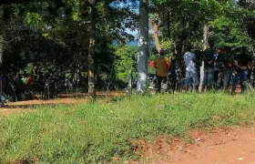 Cultivadores de coca obstruyeron labor del Ejército.