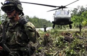 Imagen de referencia.