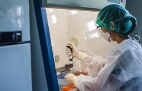 El virus de la viruela del mono causa una enfermedad con síntomas similares a los de la viruela, pero menos graves.