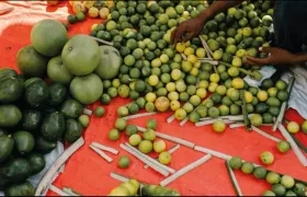 El hambre y la desnutrición hacen que las personas "sean menos inteligentes y menos productivas".