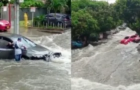 Arroyo en la carrera 50. 