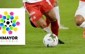 Imagen de referencia.