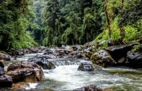 Las acciones de mitigación y adaptación serán realizadas por diferentes entidades.