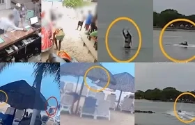 Imágenes de la ejecución del magnicidio.