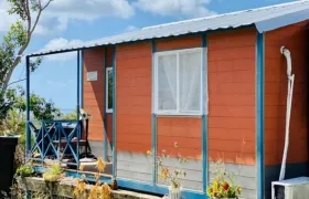 Imagen de referencia.