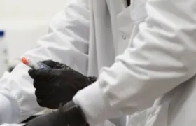 Imagen de referencia.