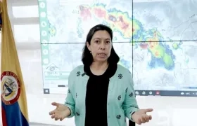 Yolanda González, Directora del Ideam.