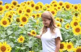 La Gobernadora Elsa Noguera en uno de los campos amarillos.