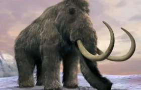 Imagen de referencia.