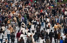 Imagen de referencia.