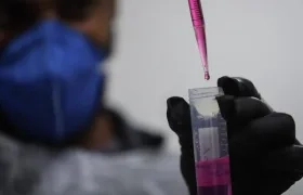 Imagen de referencia.