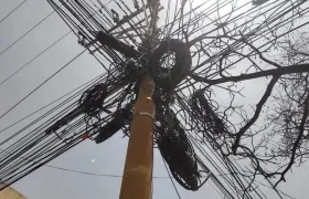 Las famosas telarañas en el Centro de Barranquilla.