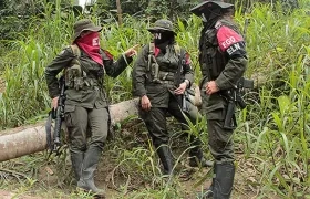 Imagen de referencia.