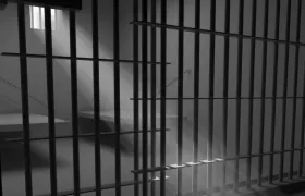 Imagen de referencia.