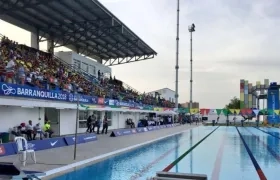 Imagen de referencia.