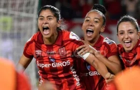 Imagen de referencia.