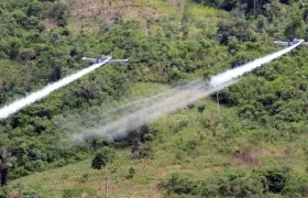 Imagen de referencia