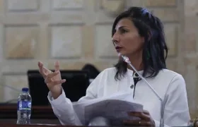 Ministra de Minas y Energía. 