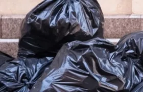 Imagen de referencia.