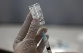 Imagen de referencia.