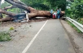 Bloqueos en el Bajo Cauca.