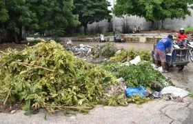 Un carretillero arroja desperdicios de un restaurante en el basurero que está detrás del Cementerio Universal.
