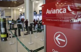 Imagen de referencia.