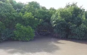 Ciénaga de Mallorquín.