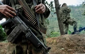 Imagen de referencia.