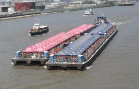 Imagen de referencia.